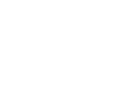 Silk Shells Consulting
